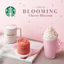 정의무관 | 2026/04/02 AI를 활용한 광고 콘텐츠 제작(6) 시즌 마케팅 정의 중요성 성공요소 플랜티 실습