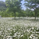 하얀꽃어린이공원 쿠키뉴스