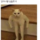 오옹