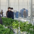 뉴딜팜㈜ 아시아경제