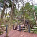 개인택시 진주시지부 이미지