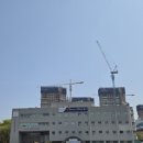 어룡태권도 이미지