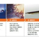 선운산정자나무집 이미지