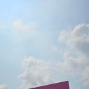 수목농장 | ｜용인 체험형농장｜물놀이+동물먹이주기+감자캐기 하루종일 놀기가능한｜포레스트벨｜