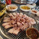 제주도로담 이미지