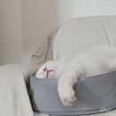 석전동273 이미지