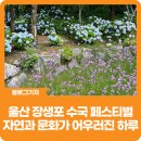 GS25 운남지서점 | [블로그 기자] 울산 장생포 수국 페스티벌, 자연과 문화가 어우러진 환상적인 하루