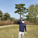티케이몰 이미지