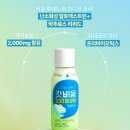 애플24 - 홍성군 월계천길 264 | 갓비움 애플민트 230ml 24개입 후기 결국 박스로 질렀습니다