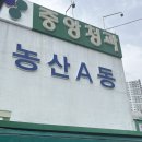 대구 매천시장 과일 청과물 도매시장 소매 구매 후기