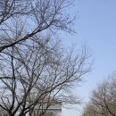 여주보화장실 이미지