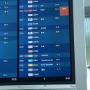 pet18머2977 | 치체스터에서의 첫 주말