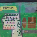 서천읍사무소 | 충남 가볼만한곳) 서천 금빛노을 서울 캠핑장 2박3일 아이랑 (ft. 서천특화시장 서비스 혜자스럽네)
