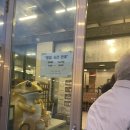 여의도생고기내곡점 | [맛집리뷰] 서초구 내곡 맛집 여의도 생고기 내곡점 소한마리가격 가족식사 아기랑 추천