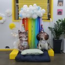 땡큐댕댕 이미지