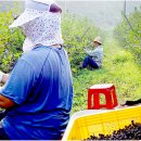 용미농장 이미지