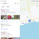 태위로663번길 이미지