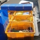 대신익스프레스 이미지