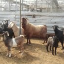 이천제이농장 이미지