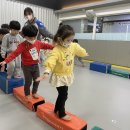 용인대 지노태권도 이미지