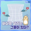 이로운바다 이미지