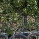 들뫼영농조합법인 이미지