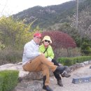 솔향기펜션 이미지