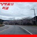 함양 거창 간산후기 1(함양벗꽃50리길. 벽송정편) 이미지