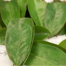 둔수농장 이미지