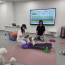 멍냥 남도일보
