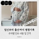 150050 | 임신출산 : 임신부터 출산까지 진료 간격 및 내용 (총 병원비 및 국가지원혜택)