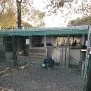 달빛머무는펜션 이미지