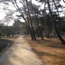 송정생태공원 이미지