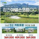 양일로 티스토리