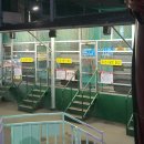 당진야구장 | 충남 당일치기 당진 여행 가볼만한곳 삽교호 놀이공원(대관람차, 바이킹, 인생네컷 후기)