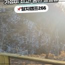 알지캠프266 이미지