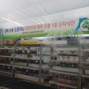 김홍태농장 이미지