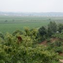 호산농장 이미지