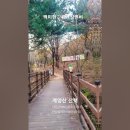 백미현♡유리창엔비. 계양산 산책. #여행 #발라드추천 #트로트 이미지