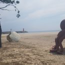 백도해변 이미지