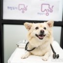 고동물병원 이미지