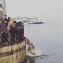 불나라2 이미지