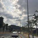 114 | 대전 한화생명볼파크 114구역 10열 통로석 직관 후기