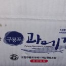 구룡포이선옥과메기 이미지