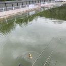 하늘낚시공원낚시터 이미지