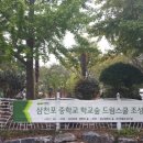 삼천포중학교 이미지