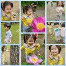 한라어린이집 이미지