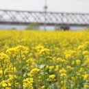 낙동강레일파크 주차장 이미지