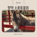 펫소풍 | 평택 아이와가볼만한곳 평택 소풍동물원 솔직후기 예약 가격 이용방법