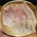 대구 진천동 맛집 대곡맛집 술집 물회 화진회초밥 화원 진천점